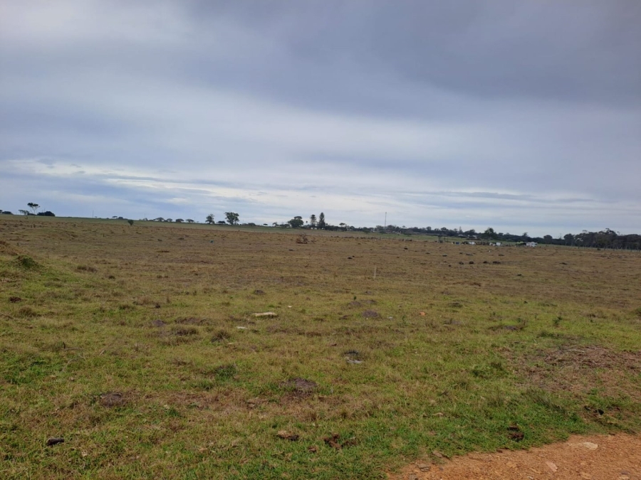  Bedroom Property for Sale in Greenbushes Eastern Cape